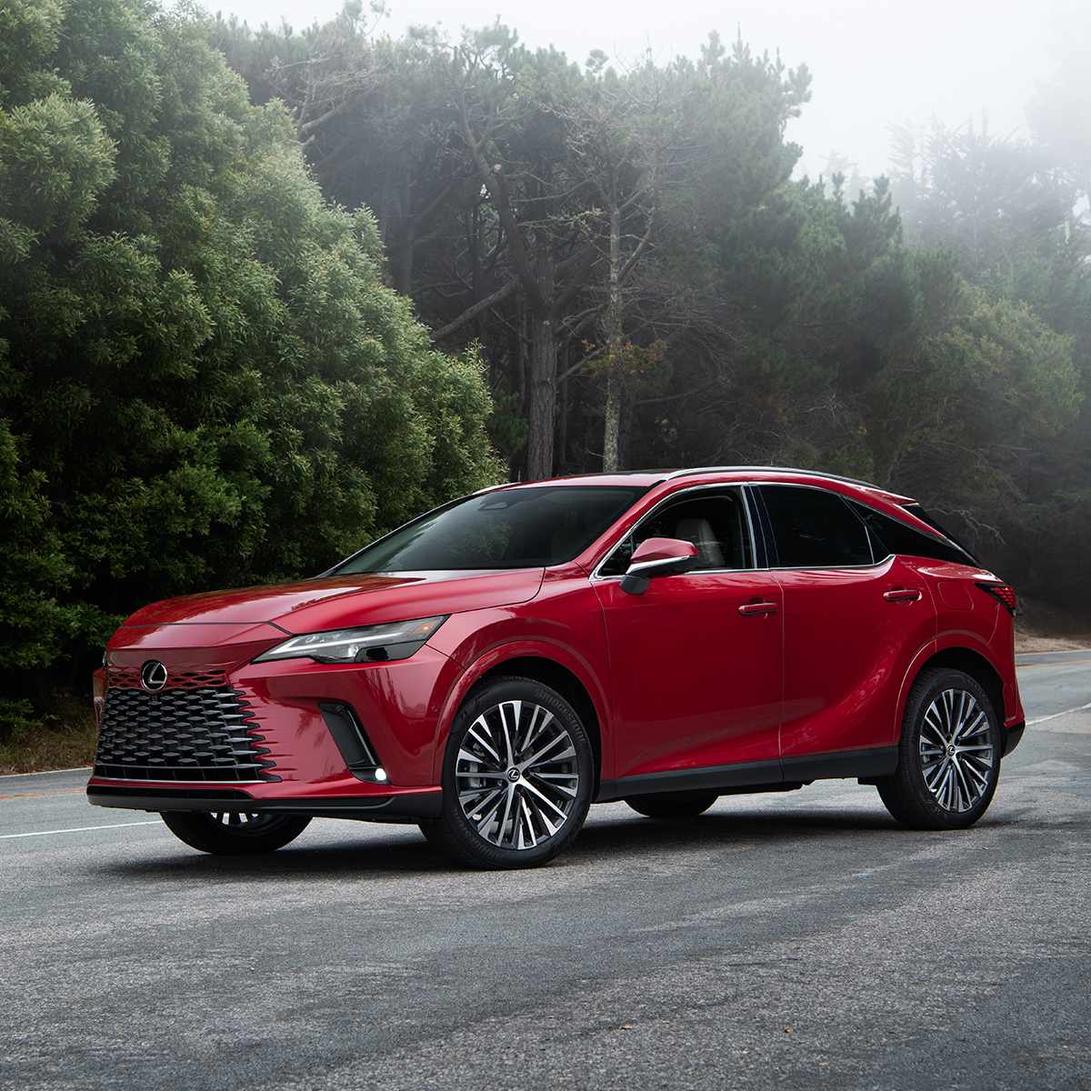 Lexus RX - Image 2