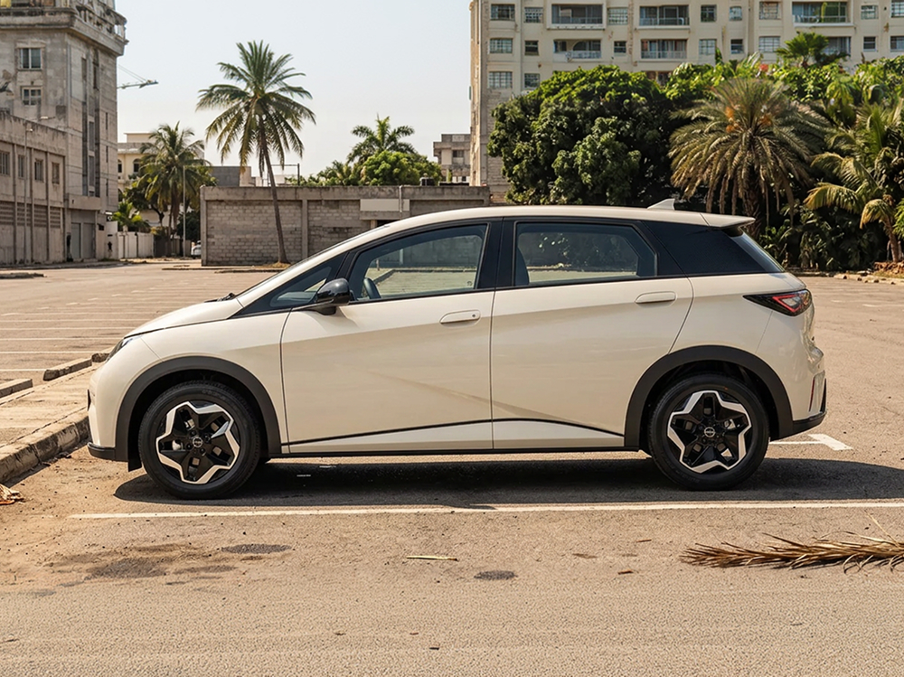 BYD Dolphin - Image 2